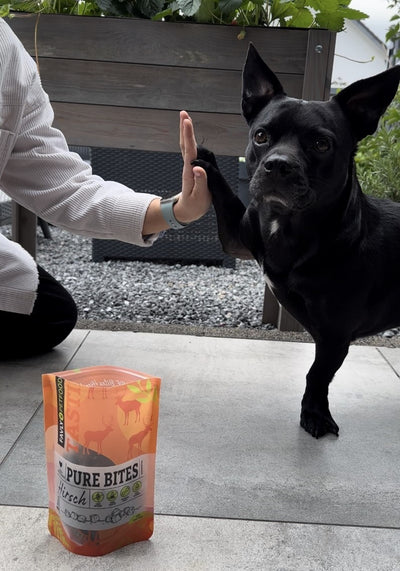 Schwarzer Hund gibt einer Person ein High-Five, im Vordergrund eine Tüte Pure Bites Hundesnacks, im Hintergrund grüne Pflanzen