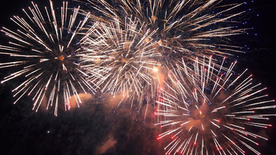 5 Tipps für ein stressfreies Silvester mit Deinem Hund!