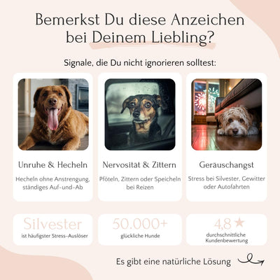 Drei Fotos von Hunden mit Unruhe, Zittern & Stress, geholfen durch RELAX Pulver von FAVLY Petfood.