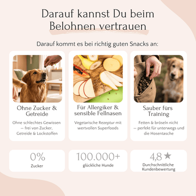 Drei Packungen FAVLY Petfood PURE Bites Veggie – getreidefreie Hundesnacks, ideal für Allergiker und zum Training.
