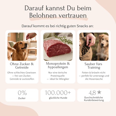 Drei Bilder zeigen „FAVLY Petfood Nature Cookies Pute“, rohes Fleisch und die Fütterung – und heben dabei die Vorteile natürlicher Leckerlis hervor.