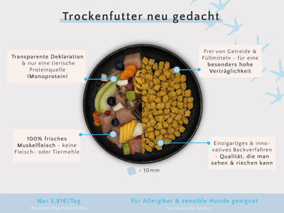 Trockenfutter Huhn mit Karotte, Birne & Leinsamen