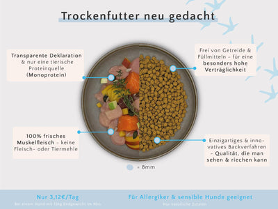 Junior Trockenfutter Huhn mit Lachs, Apfel & Leinsamen