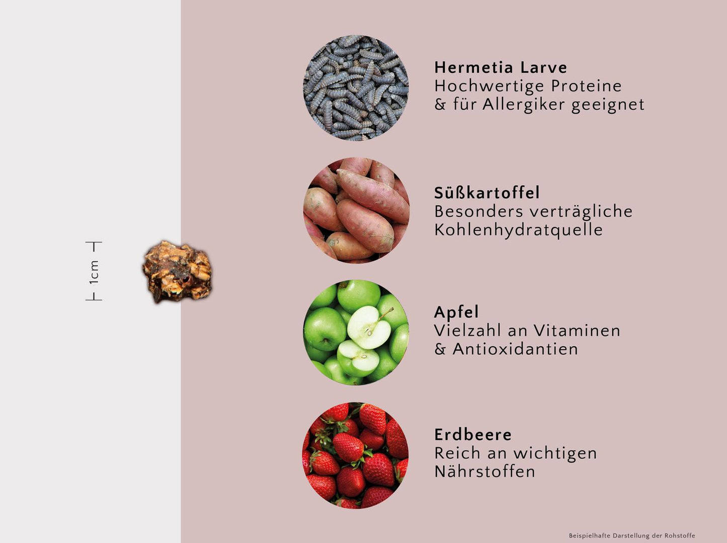 PURE Bites Insect - hypoallergene Insektensnacks mit Obst