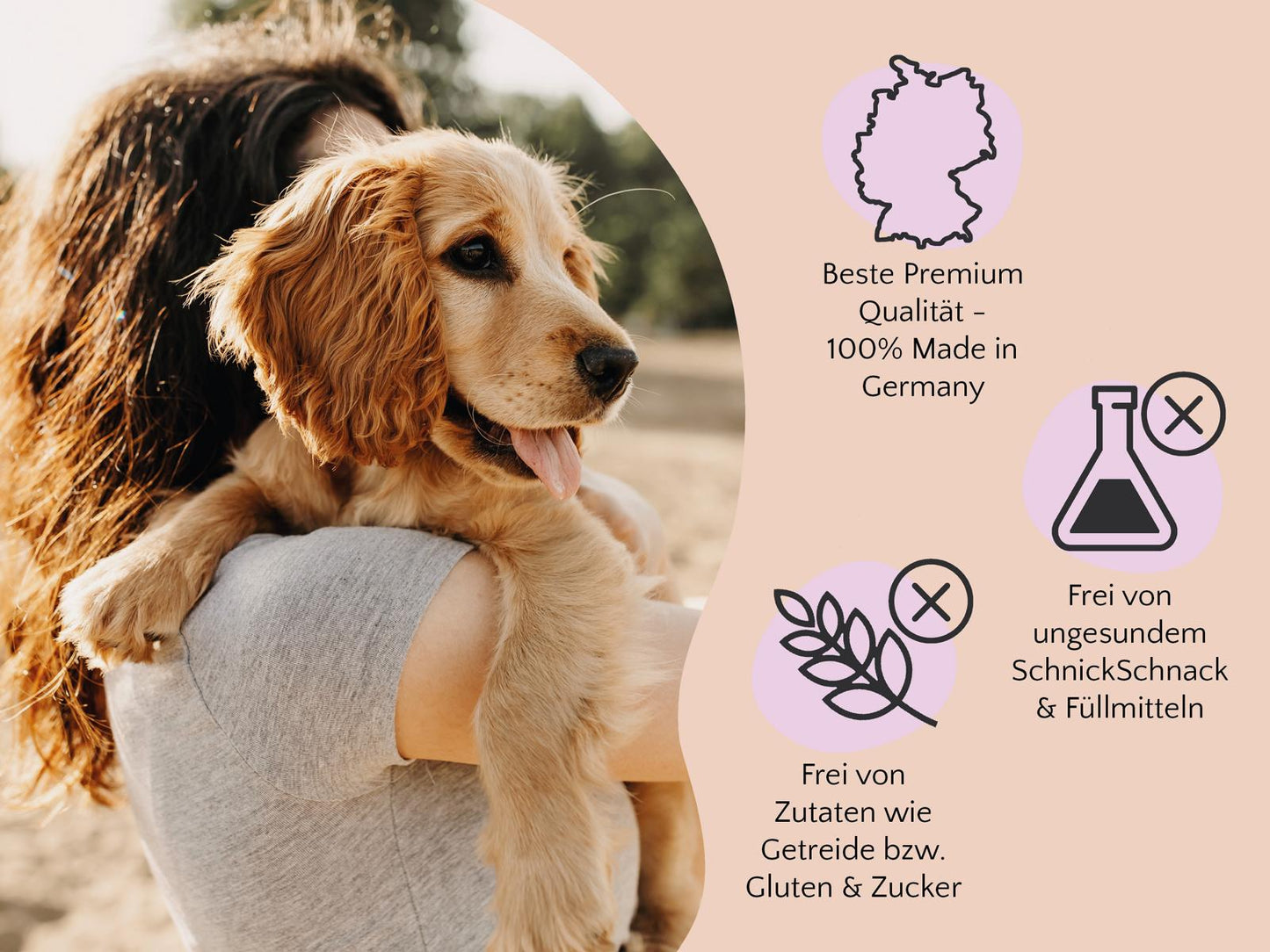 FAVLY Probierpaket "Wild" + GRATIS Futterguide