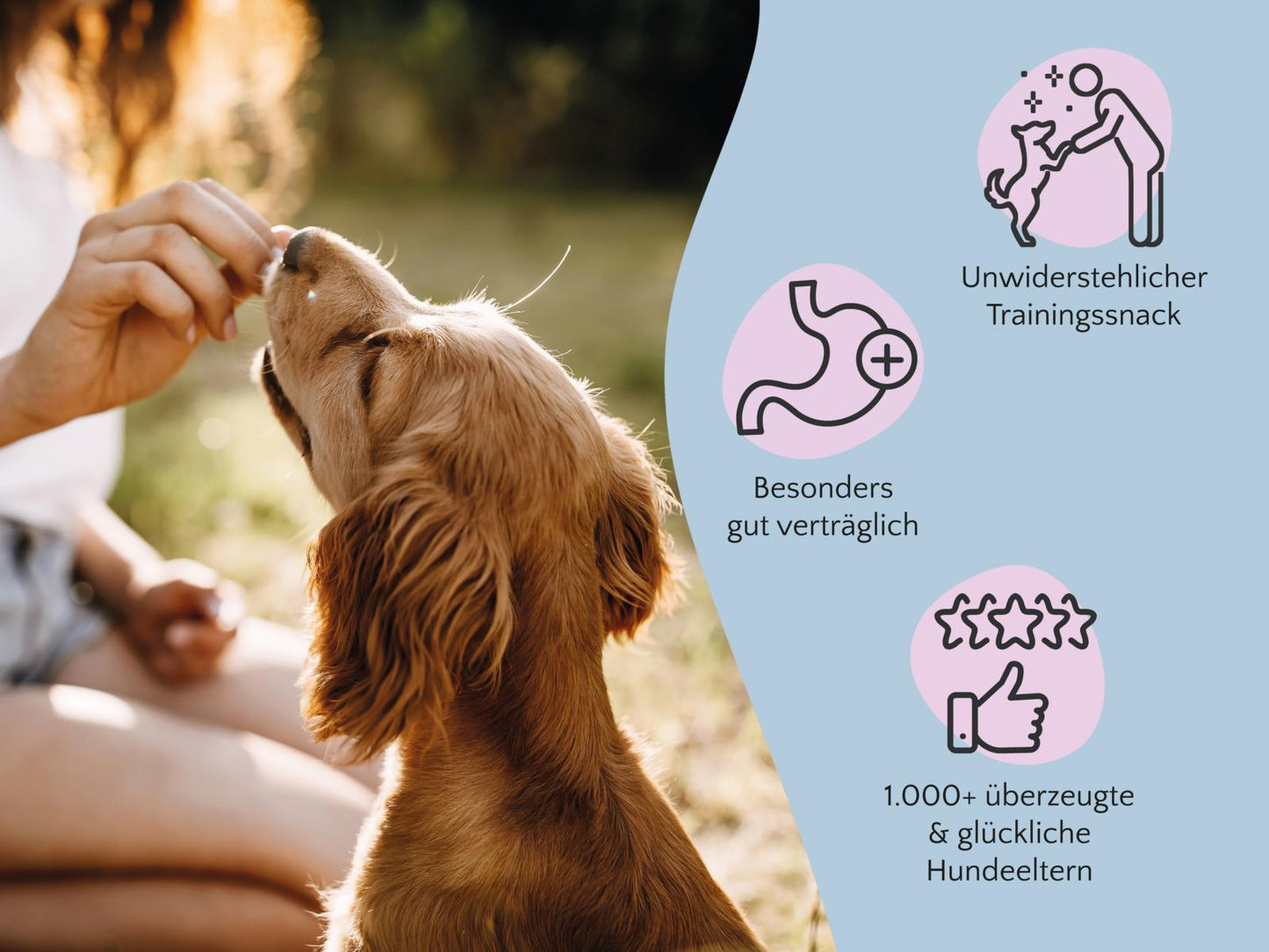 Nature Cookies Pute - Getreidefreie & gesunde Hundekekse