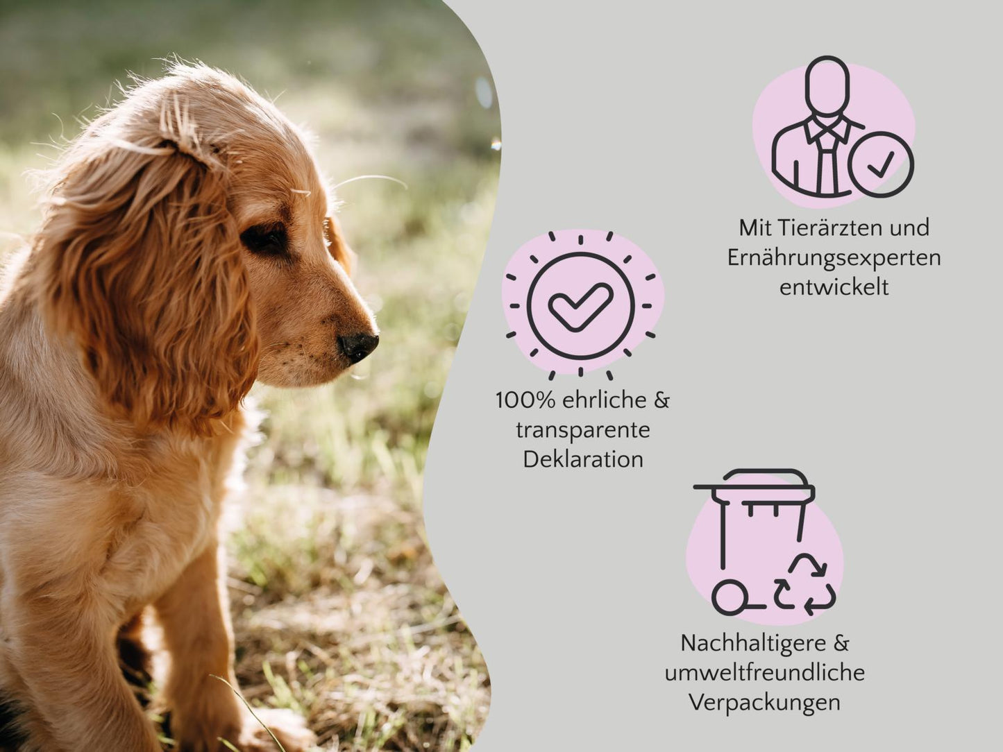 FAVLY "Welpen-Set" + GRATIS Futterguide