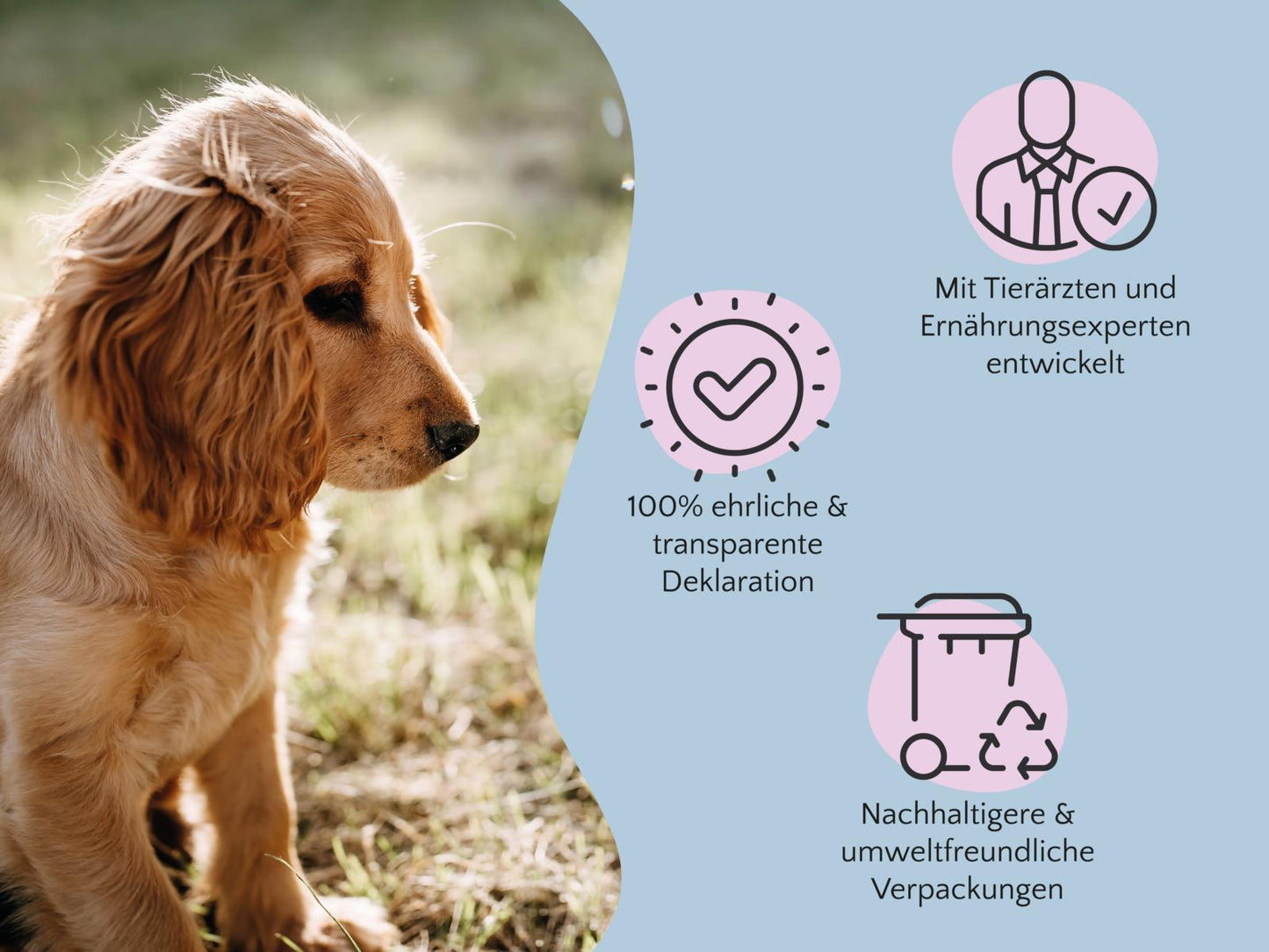 Nature Cookies Pute - Getreidefreie & gesunde Hundekekse