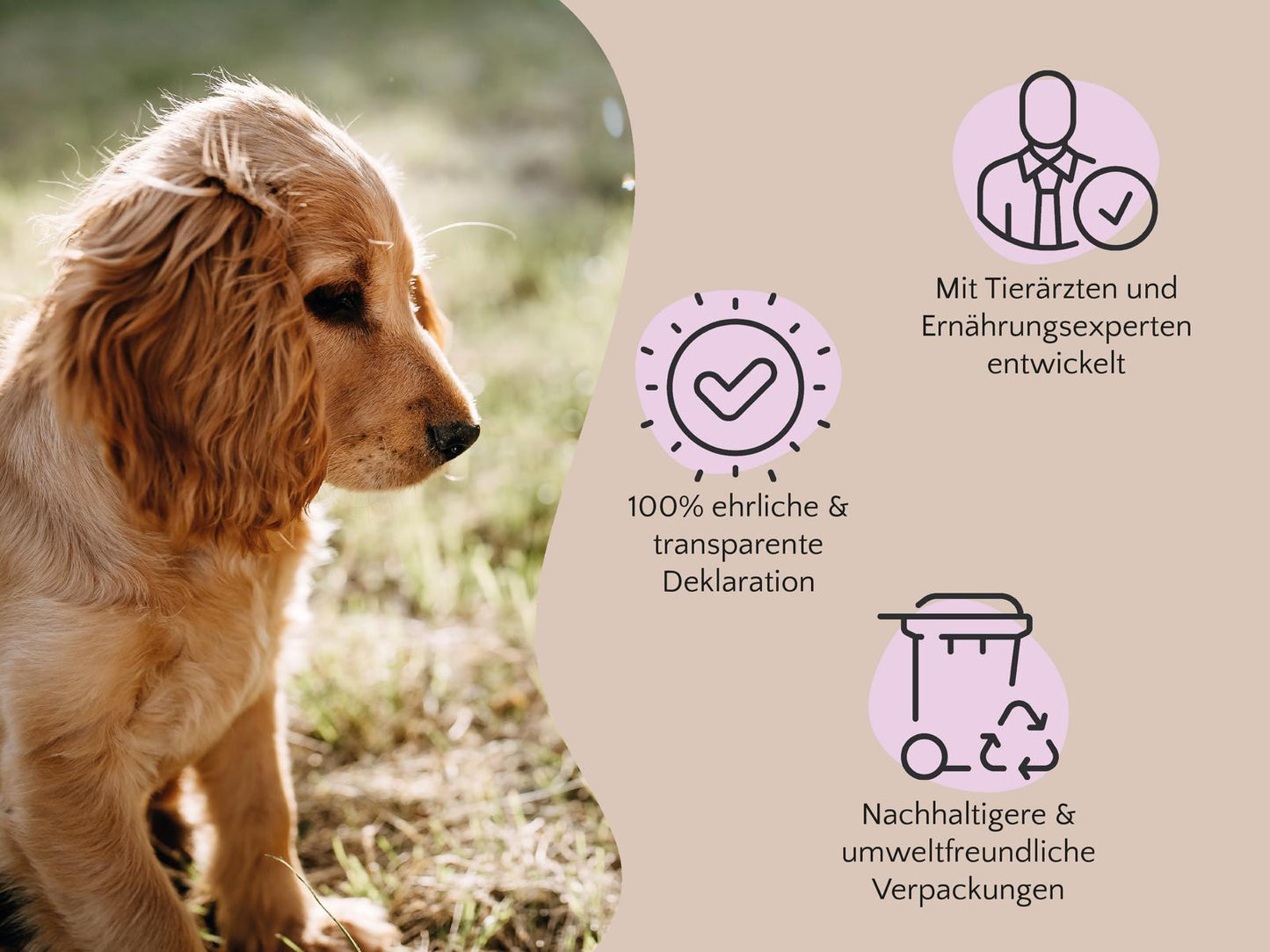 PURE Bites Pferd- hypoallergener & softer Trainingssnack