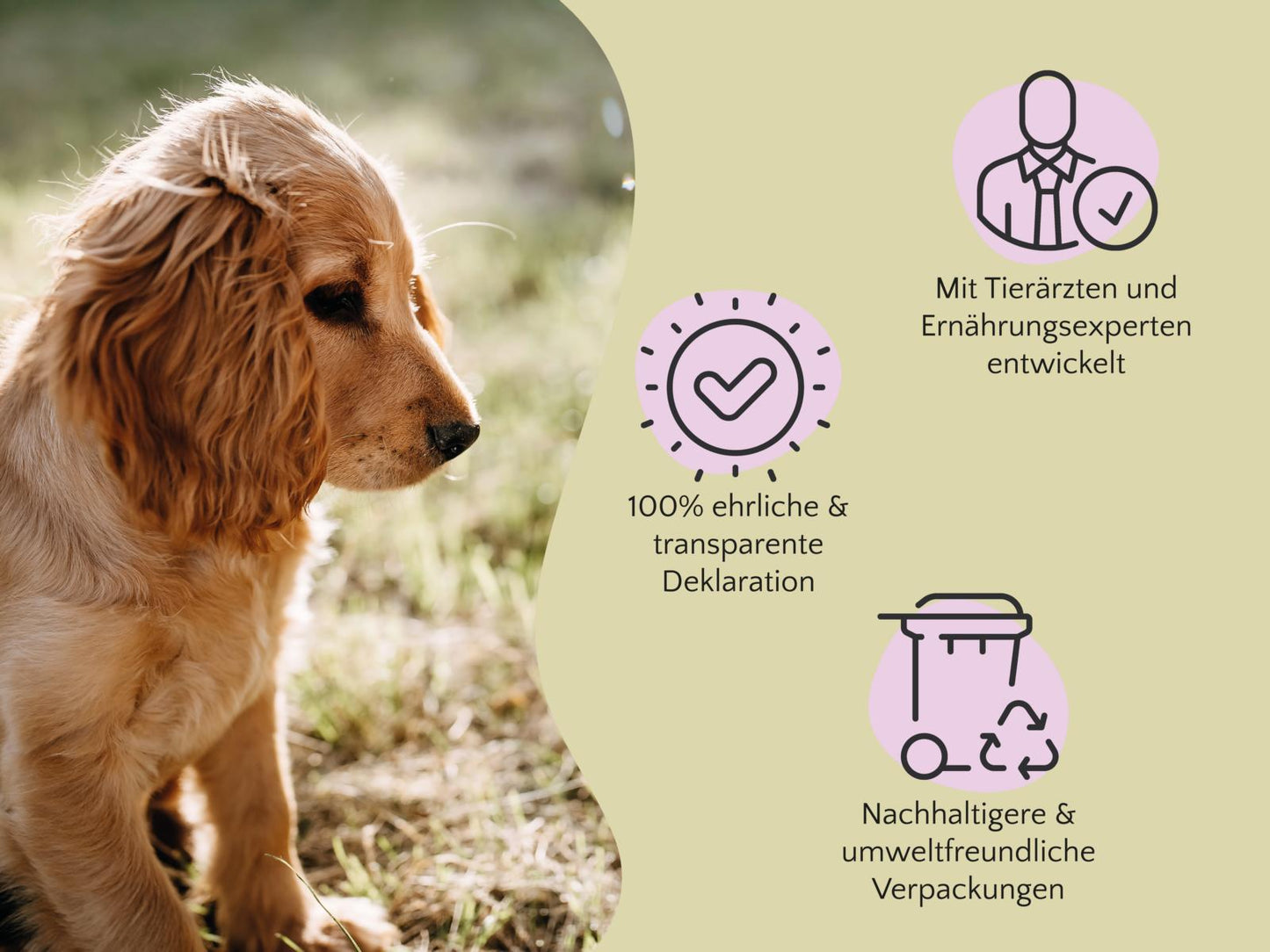 PURE Bites Lamm - aromatischer & softer Trainingssnack