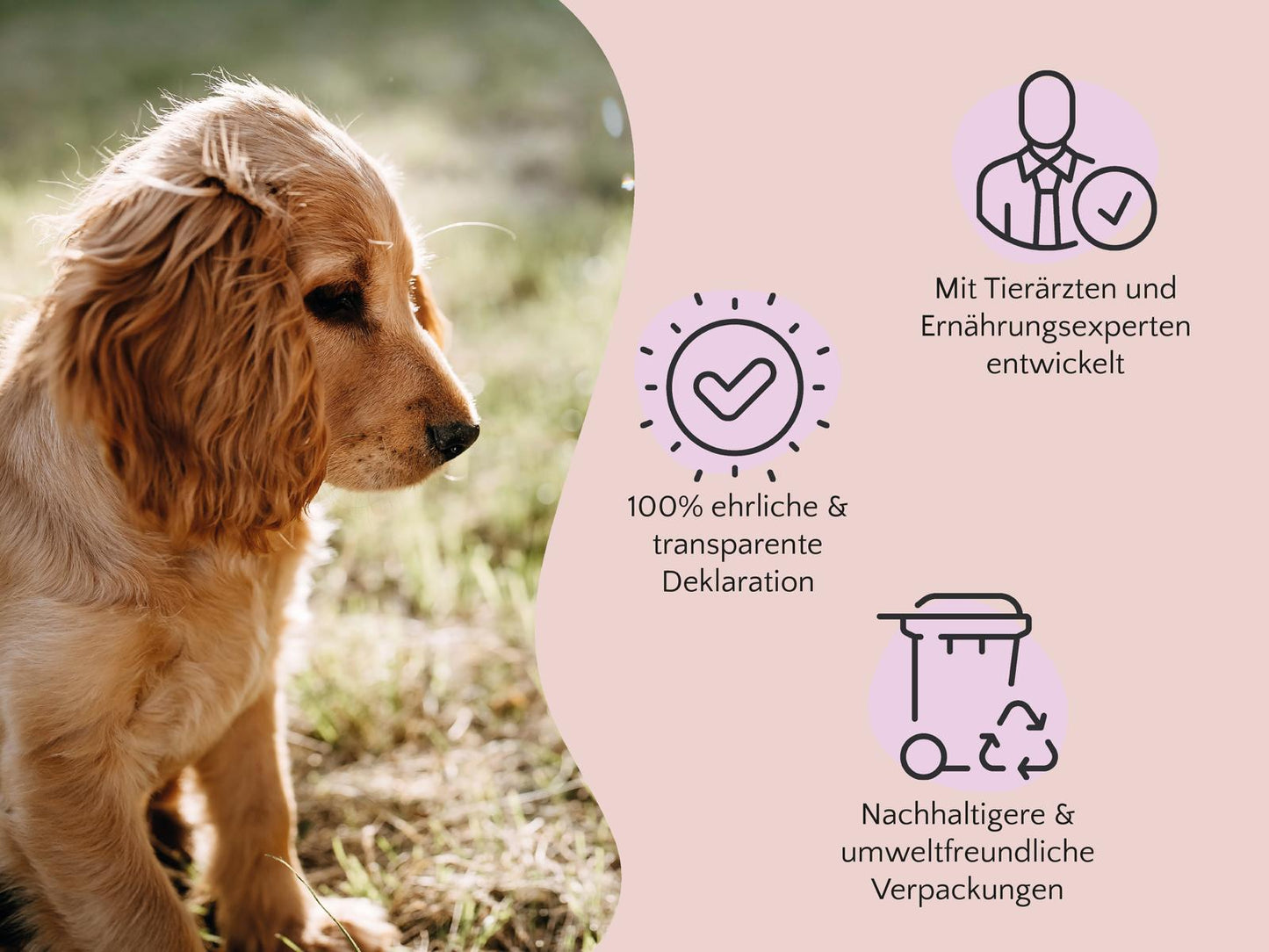 PURE Bites Rind - schmackhafter & softer Trainingssnack