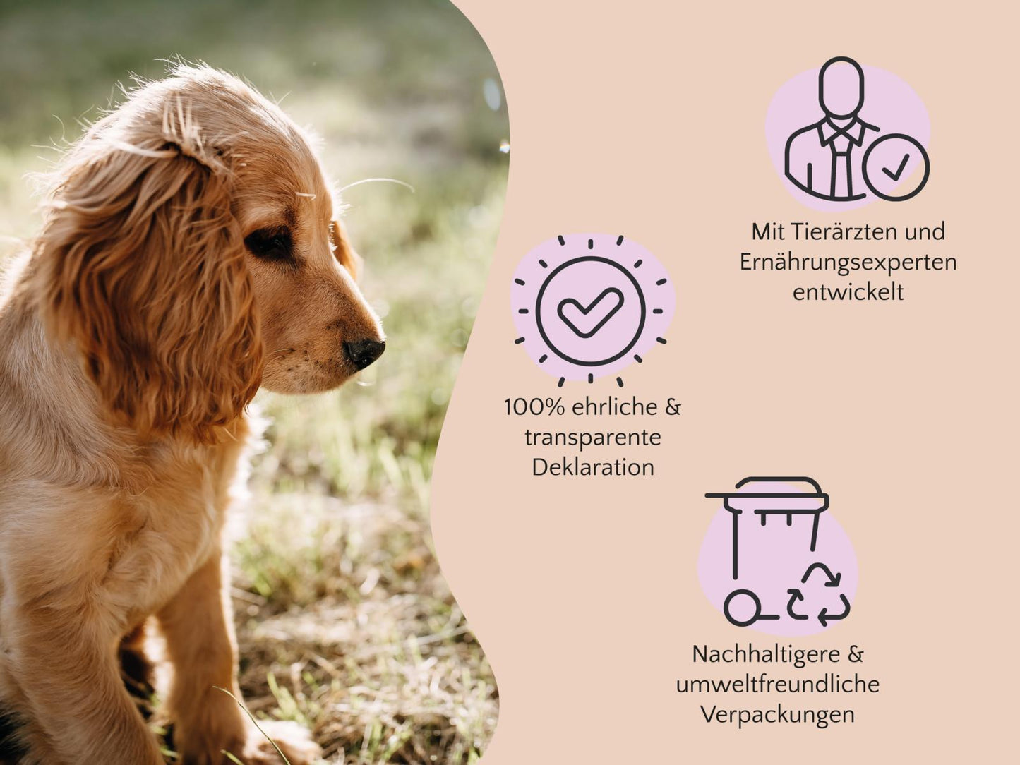 FAVLY Probierpaket "Wild" + GRATIS Futterguide