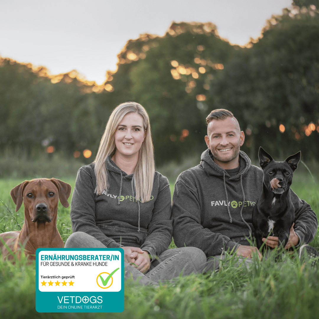 Zwei Personen in grauen Hoodies mit dem Logo "Favly Petfood", die entspannt auf einer Wiese sitzen. Neben ihnen liegen zwei Hunde, ein brauner und ein schwarzer. Im Vordergrund befindet sich ein Siegel mit der Aufschrift "Ernährungsberater/in für gesunde & kranke Hunde", ergänzt durch ein Häkchen und die Marke "Vetdogs – Dein Online Tierarzt