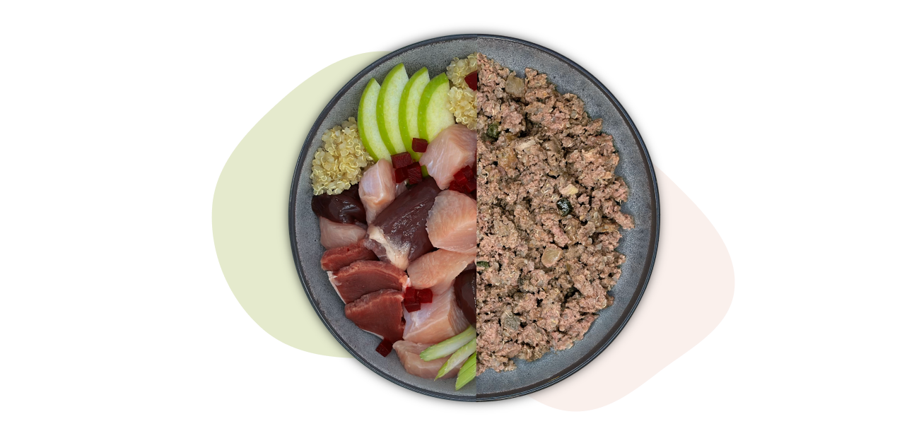 Eine Schüssel mit gewürfeltem rohen Fleisch, gehackten Apfelscheiben und einer Körnermischung auf der einen Seite, Hackfleisch auf der anderen.