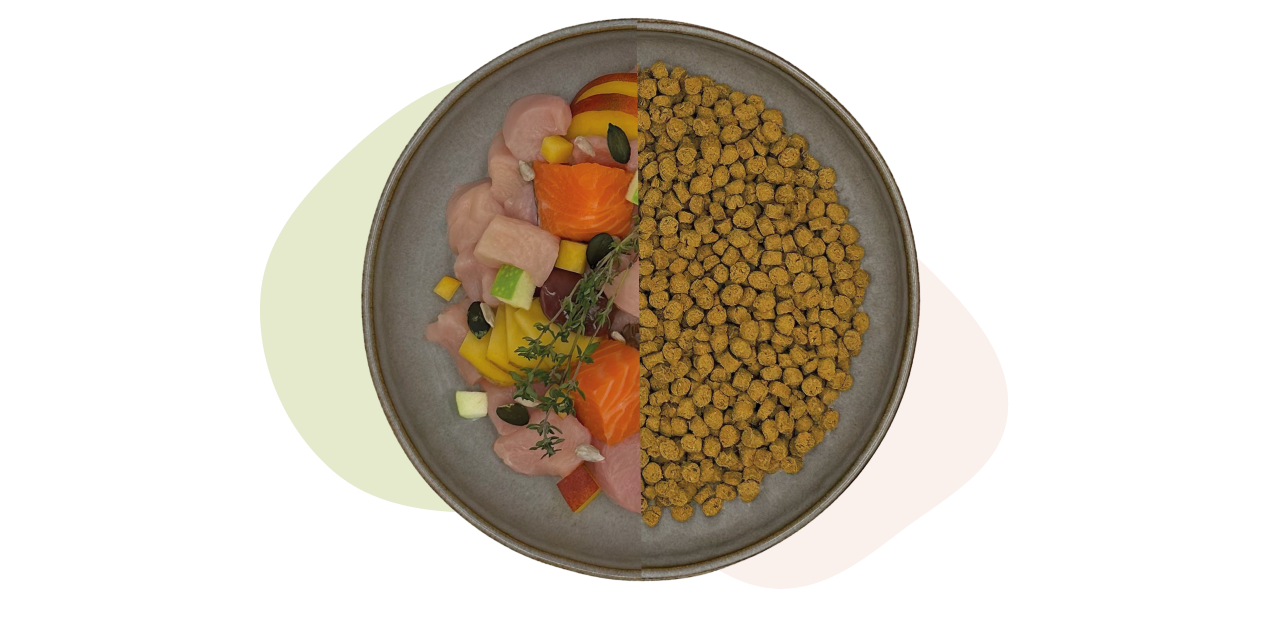Ein Teller, der zur Hälfte mit frischem Obst und Gemüse und zur anderen Hälfte mit trockenem Tierfutter gefüllt ist.