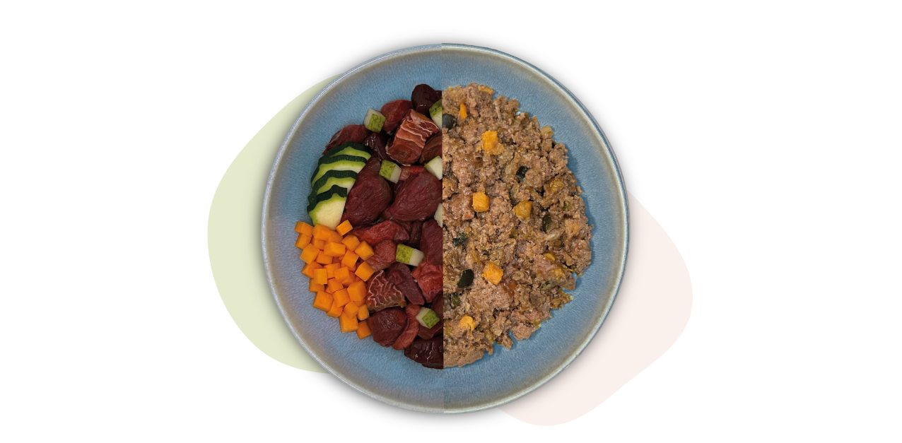 Ein blauer Teller mit Quinoa auf der einen Seite und gewürfeltem Gemüse auf der anderen, darunter Mango, Karotte, Gurke und Rote Bete.