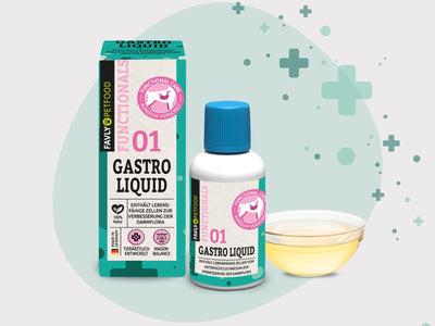 GASTRO Liquid - Probiotika & Darmflora