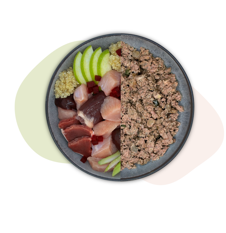 Eine Schüssel mit rohem Fleisch, Apfelscheiben und Quinoa auf der einen Seite, gekochtem Hackfleisch auf der anderen Seite.
