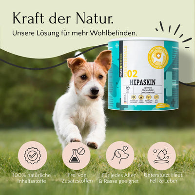 Ein kleiner Hund läuft auf Gras von FAVLY Petfood HEPASKIN Pulver - Haut, Fell & Entgiftung, mit deutschem Text und Icons.