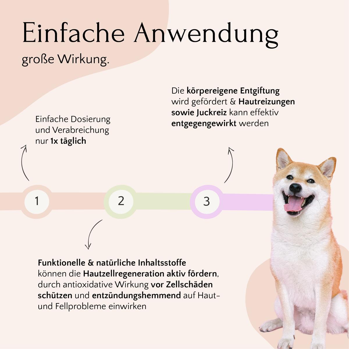 Pastell-Grafik: 3 Tipps zur Entgiftung mit HEPASKIN Pulver von FAVLY Petfood, Shiba Inu rechts.