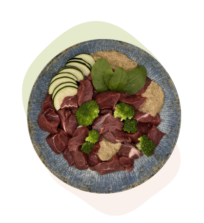 Eine blaue Schüssel mit Muskelfleisch vom Wild (Hirsch & Reh), Brokkoli, Spinatblättern, Zucchini..