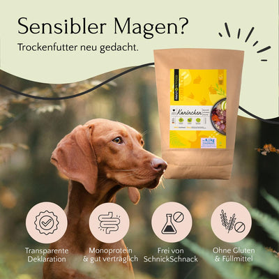 Ein brauner Hund schaut neben FAVLY Petfood Kaninchen mit Amaranth, Leinsamen & Chicorée (kaltgepresst) auf.