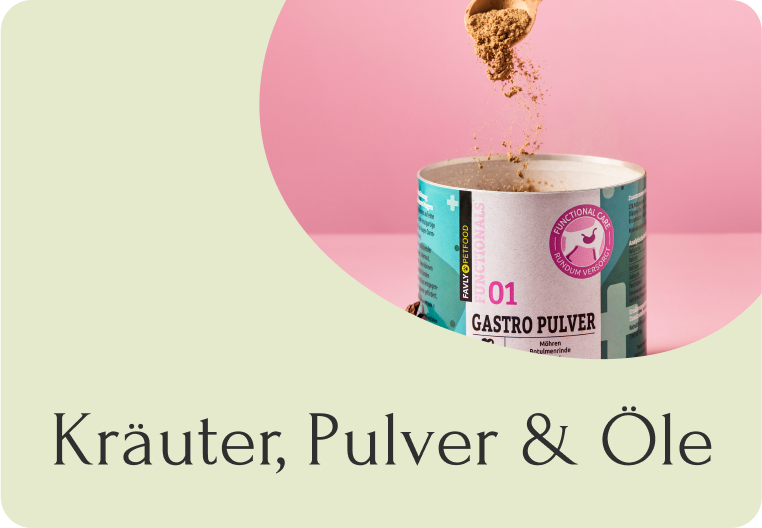 Ein Pulver abgebender Löffel über einem Behälter mit der Aufschrift „Gastro Pulver“ vor rosa Hintergrund. Text: „Kräuter, Pulver & Öle“.