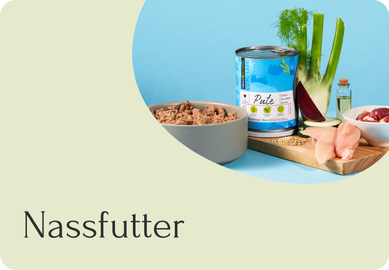 Eine Anzeige von Nassfutter für Katzen mit Zutaten wie Fleisch und Gemüse auf blauem Hintergrund, mit dem Text „Nassfutter“ darunter.