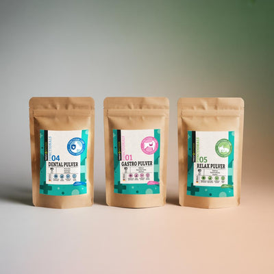 Drei braune wiederverschließbare Beutel mit FAVLY Petfood Futtertopping-Probe – DENTAL, GASTRO & RELAX auf neutralem Hintergrund.