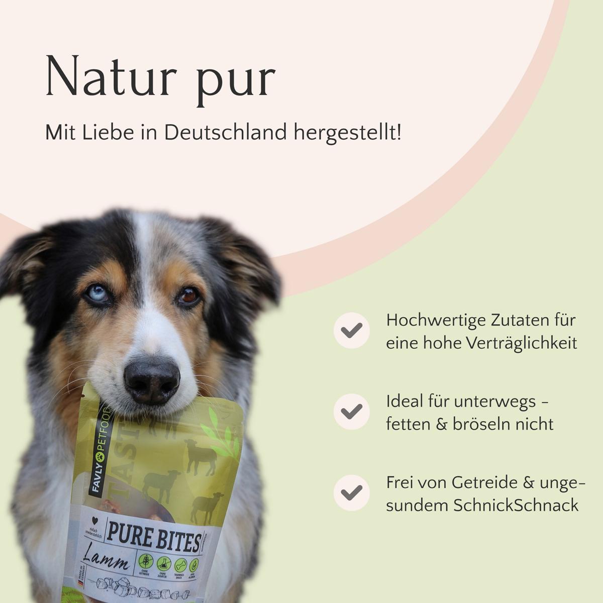 Ein Hund hält eine Tüte mit „PURE Bites Ente“ Leckerlis von FAVLY Petfood im Maul und zeigt damit seine Liebe zu diesen Hundesnacks aus natürlichen Zutaten. Der deutsche Text rechts hebt die Eigenschaften des Produkts hervor.