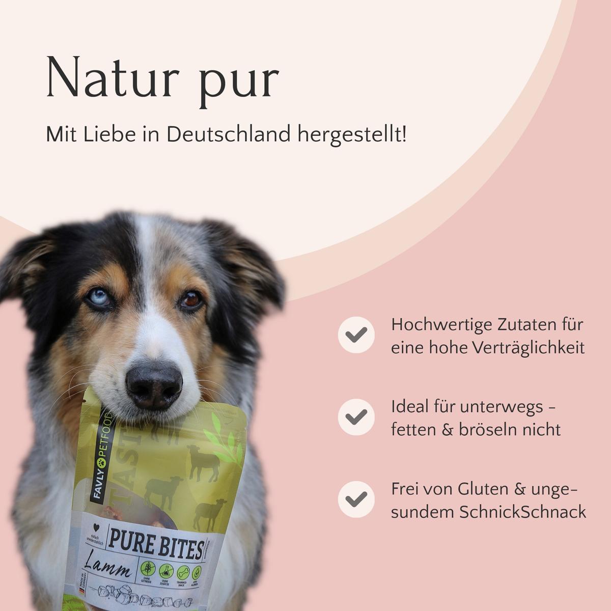 Dog hält stolz eine Limited Edition - Nature Cookies @frauchen.backt-Packung von FAVLY Petfood in den Händen, die glutenfreie und hochwertige Zutaten präsentiert. Diese gesunden Hundesnacks werden aus natürlichen Zutaten hergestellt, damit Ihr pelziger Freund nur das Beste genießt.