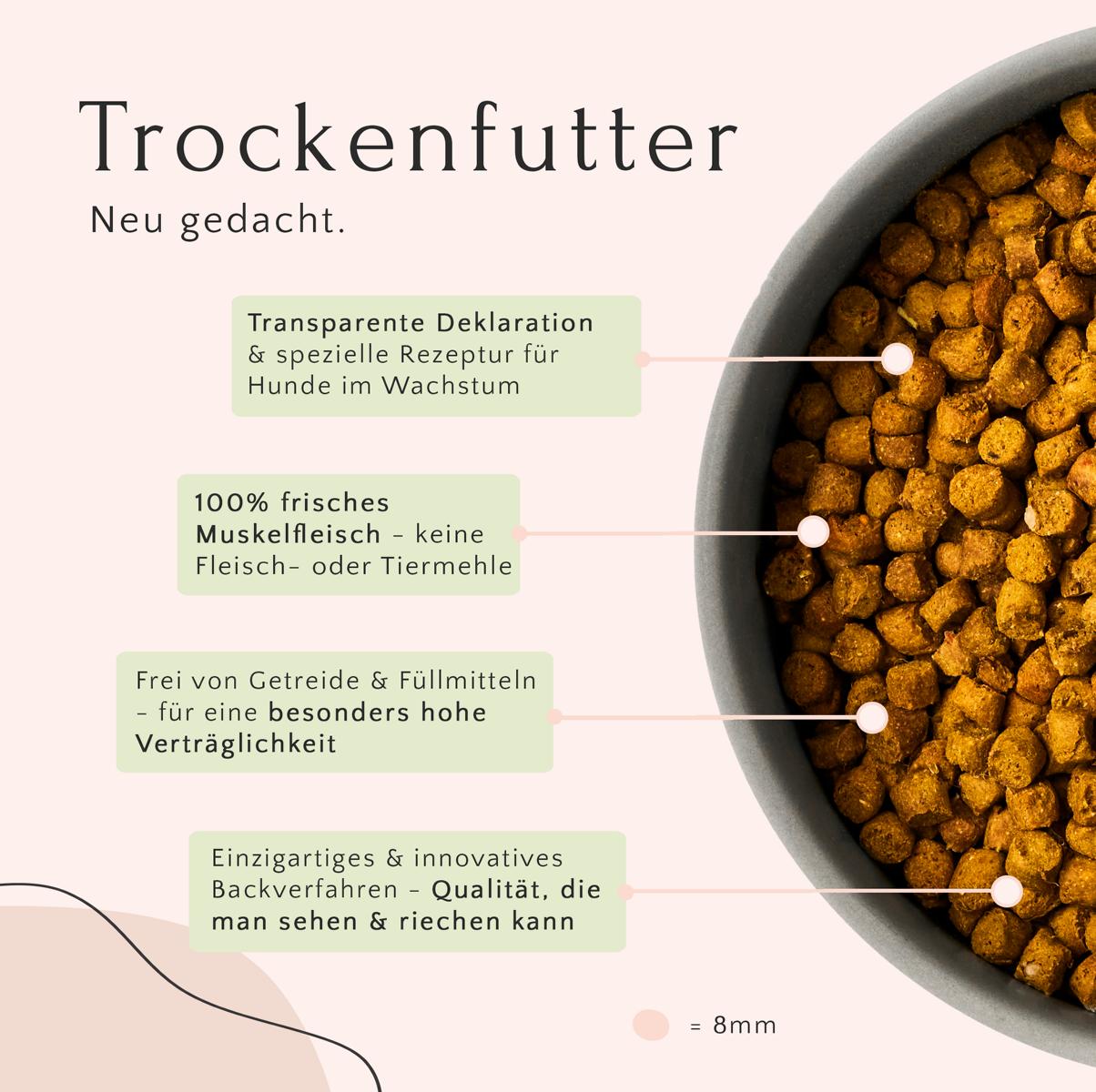 Das FAVLY Petfood-Produkt „Junior Huhn mit Lachs, Apfel & Leinsamen“ bietet Informationen auf Deutsch zu seinen hochwertigen Zutaten und einem innovativen Slow Baking-Verfahren, präsentiert in einer Schüssel.