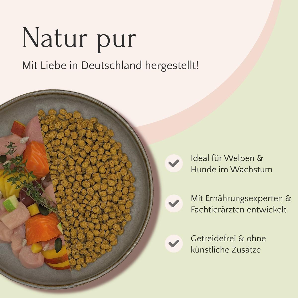 Ein Napf mit einer Mischung aus Hundefutter und Gemüse ist mit einem deutschen Text versehen, der die Vorteile und die Herkunft von FAVLY Petfoods Junior Huhn mit Lachs, Apfel & Leinsamen erläutert. Er betont das einzigartige langsame Backverfahren und die getreidefreie Rezeptur für gesündere, glücklichere Haustiere.