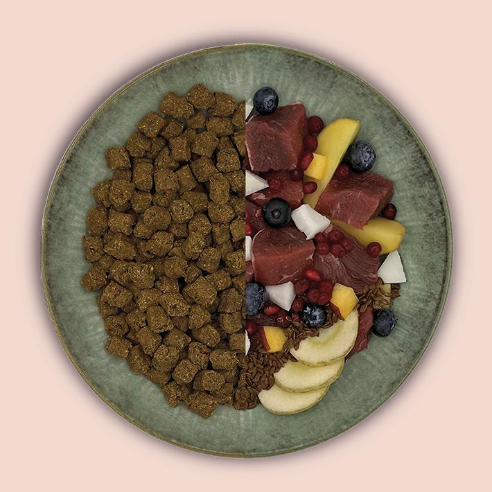 Grüner Teller mit geteilter Portion: trockenes braunes Trockenfutter auf der einen Seite und eine Mischung aus rohem Fleisch, Obst und Gemüse auf der anderen.