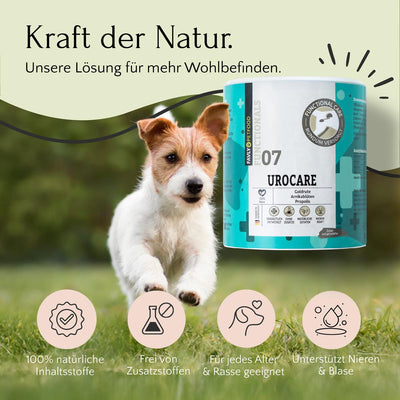 Ein kleiner Hund läuft im Gras neben einer UROCARE Pulver - Niere & Blase Dose von FAVLY Petfood, mit Gesundheitssymbolen.