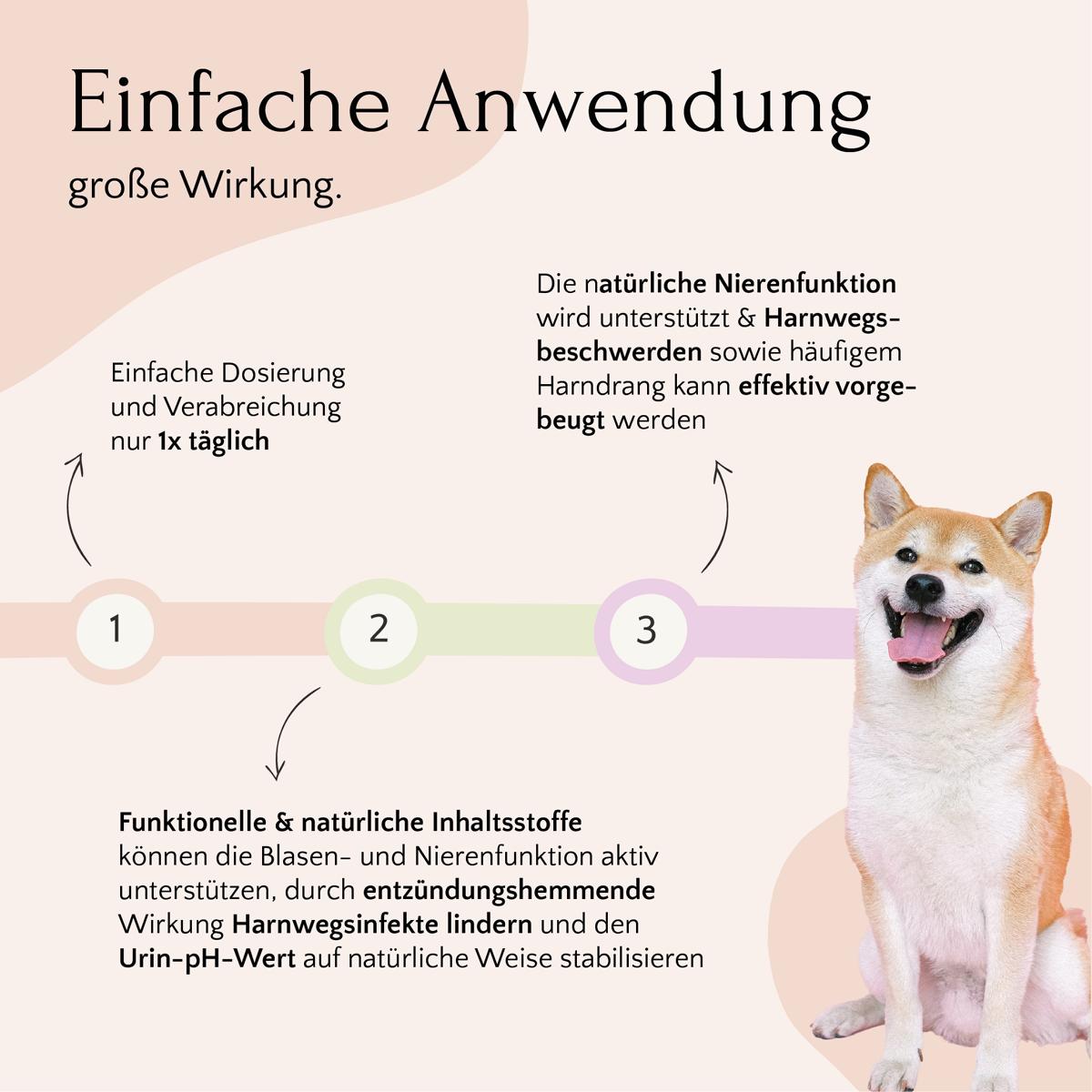 UROCARE Pulver - Niere & Blase von FAVLY Petfood, daneben ein lächelnder Shiba Inu.