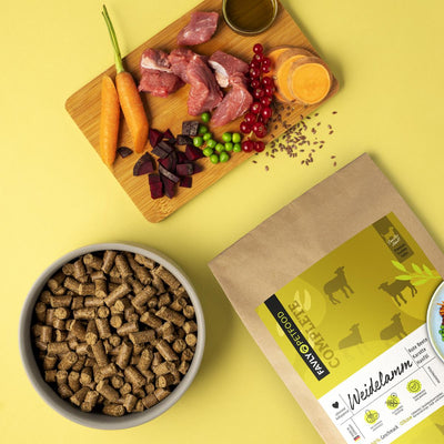 Hundefressnapf, rohes Gemüse und FAVLY Petfood Weidelamm mit Rote Beete Beutel auf einem leuchtend gelben Hintergrund.