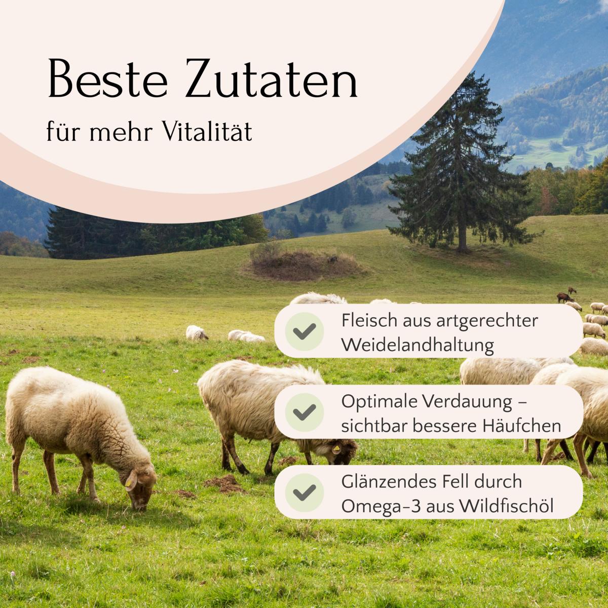 Schafe grasen vor Bergen; Infos zu FAVLY Petfood Weidelamm mit Rote Beete, Karotte & Hanföl (kaltgepresst).