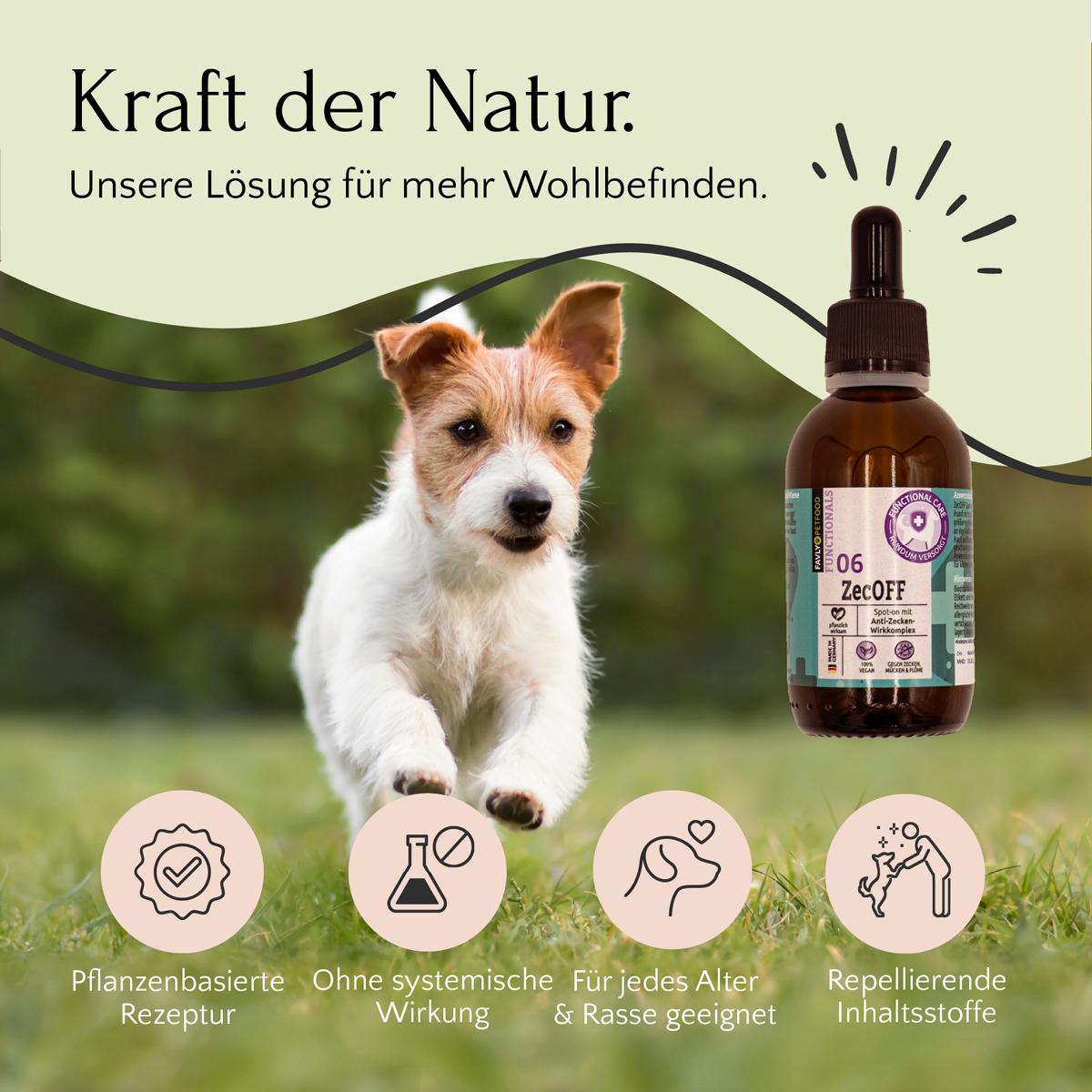 Kleiner Hund läuft draußen mit FAVLY Petfood ZecOFF – für Hundehaut & Zecken, plus Symbole für pflanzliche Vorteile.