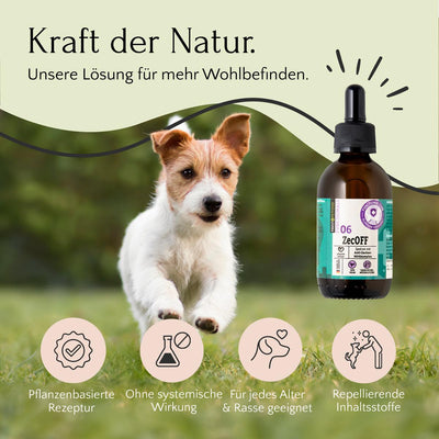Ein kleiner Hund läuft auf Gras neben einer Flasche FAVLY Petfood ZecOFF – Zecken & Lästlinge; die Symbole zeigen pflanzliche Öle.