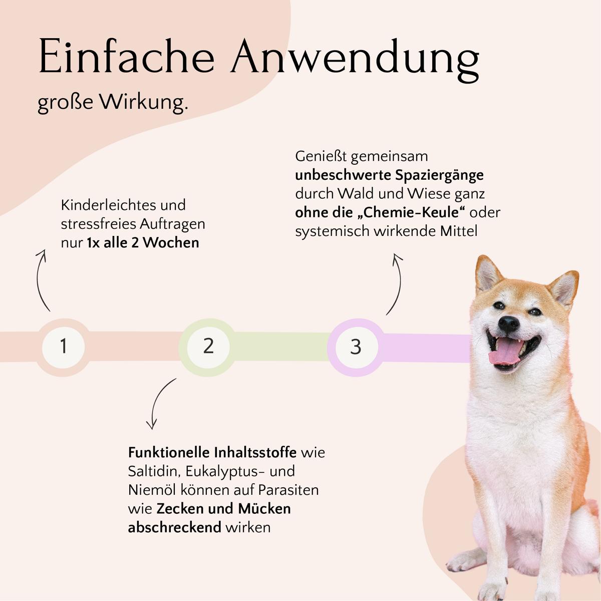 Infografik: Hund, Anwendungstipps & stressfreie Parasitenabwehr mit ZecOFF – Zecken & Lästlinge von FAVLY Petfood.