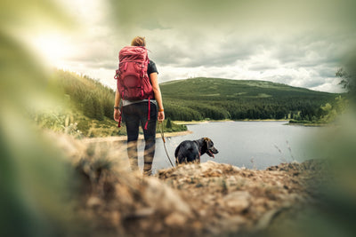 Wanderin mit Hund vor malerischem See und Wald: Outdoor-Abenteuer und Naturerlebnis in idyllischer Landschaft, ideal für Wanderfreunde und Hundebesitzer.