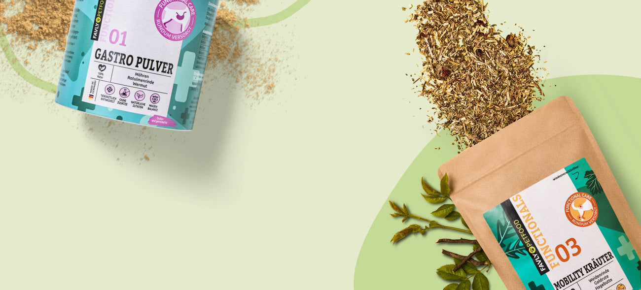 Ein Becher mit der Aufschrift "Gastro Pulver" und ein Papierbeutel mit der Aufschrift "Mobility Tablets" sind auf einem hellen Hintergrund zu sehen, aus dem Kräuter und Pulver herausquellen.