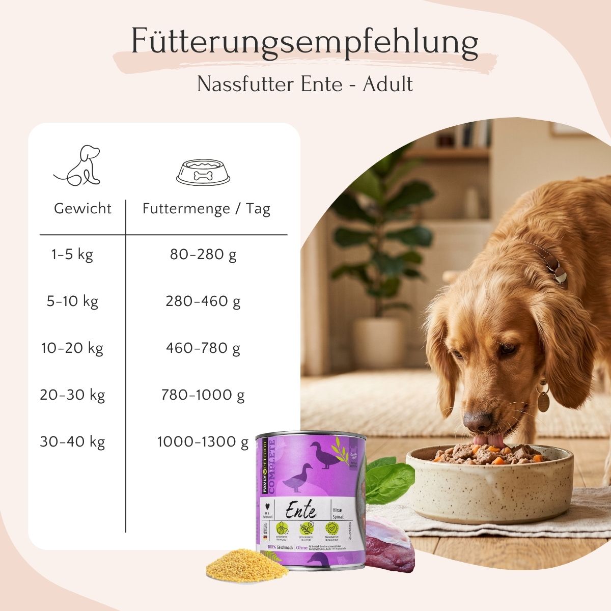 Golden Retriever frisst FAVLY Petfood Ente mit Hirse, Birne & Spinat, neben einer glutenfreien Hund-Portionstabelle.
