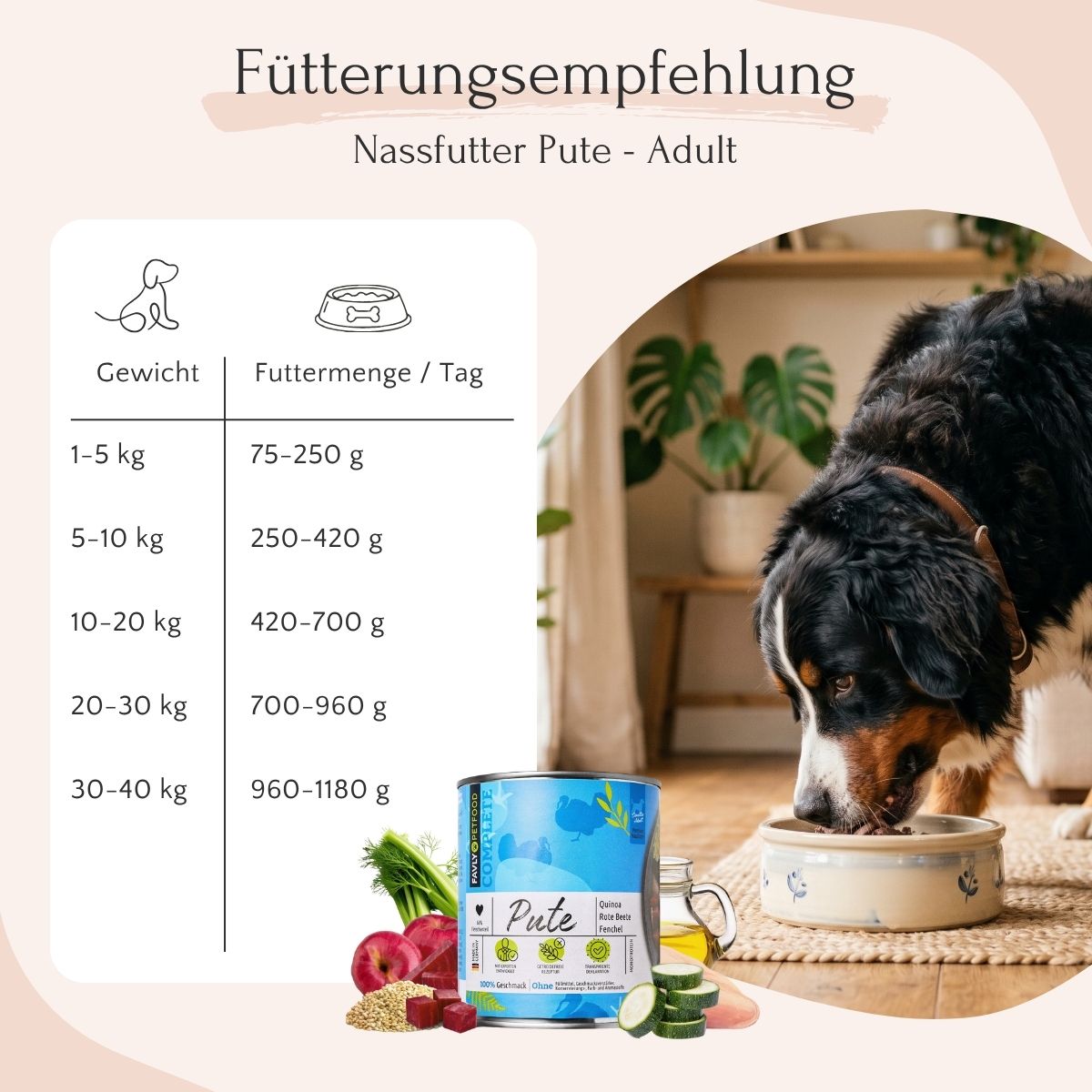 Fütterungstipps für erwachsene Hunde, mit FAVLY Petfood Pute mit Quinoa, Rote Beete & Fenchel.