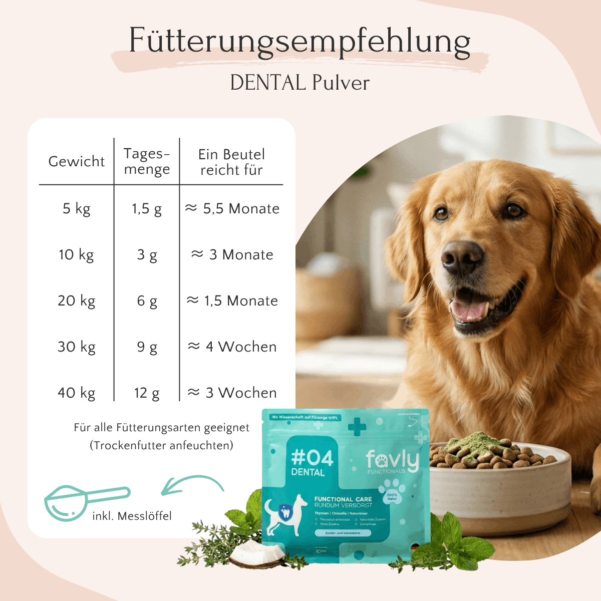 Ein glücklicher Hund sitzt neben seinem Futter; im Bild sind „FAVLY Petfood DENTAL Pulver“ zur Zahnhygiene, eine Dosierungstabelle und die Verpackung zu sehen.