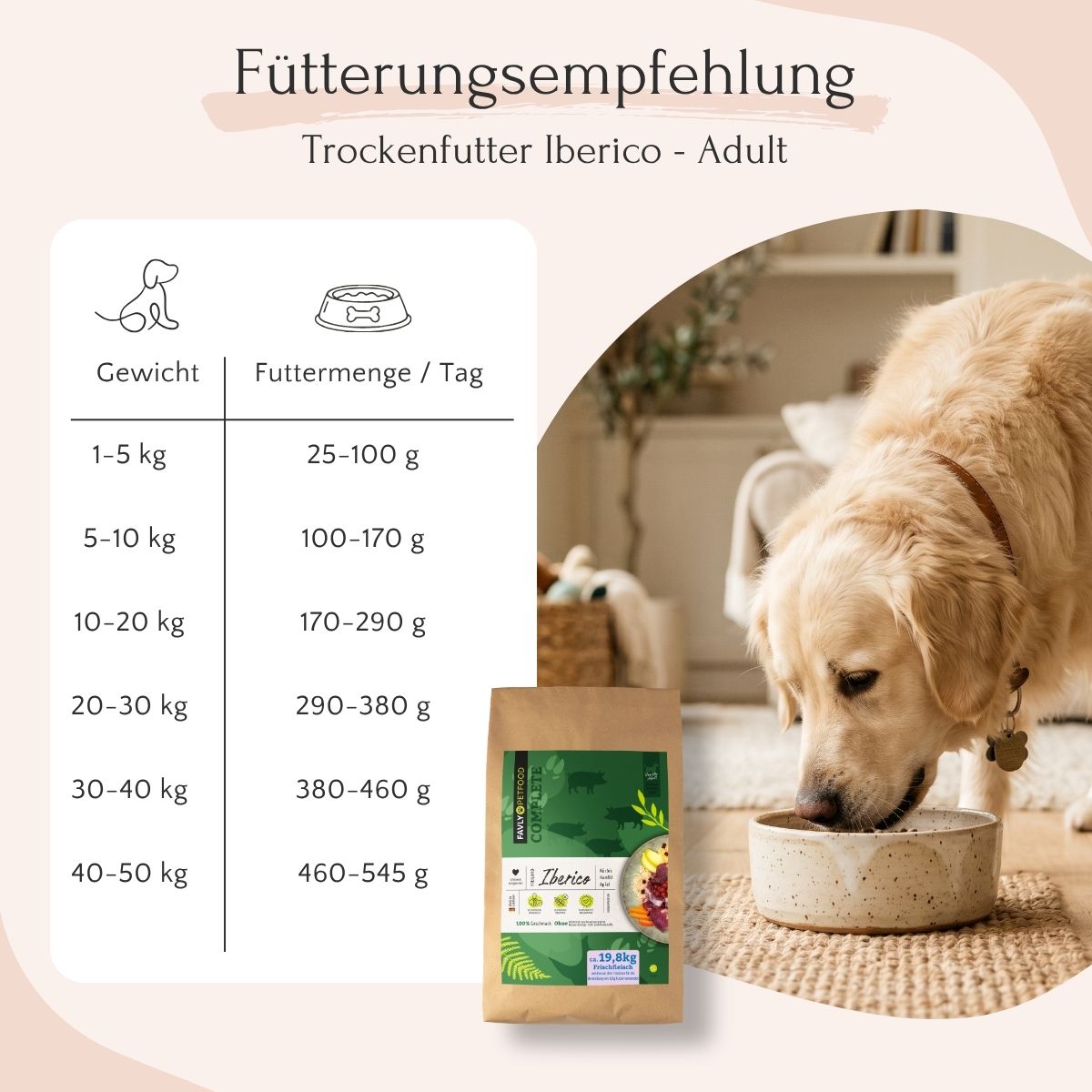 Golden Retriever fressen FAVLY Petfood Freiland-Iberico mit Kürbis, Hanföl & Apfel neben der Fütterungsanleitung für Erwachsene.