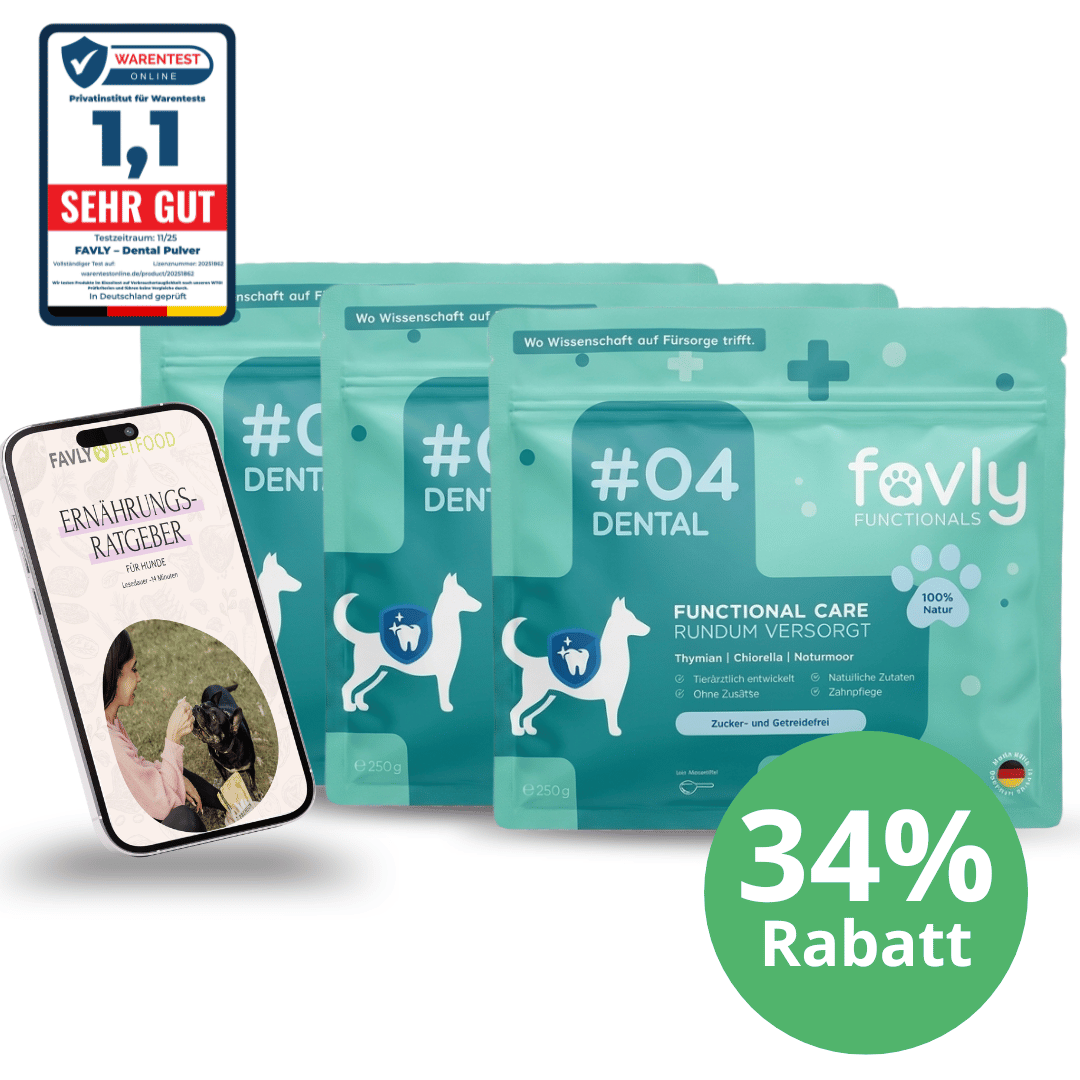 Drei „DENTAL Pulver“-Neukundenangebote von FAVLY Petfood, ein Handyhüllen-Cover und ein Abzeichen mit der Aufschrift „34 % Rabatt“.