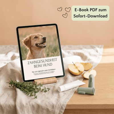 Tablet mit dem FAVLY E-Book „Zahngesundheit beim Hund“, daneben FAVLY Futter, Äpfel, Kräuter und Hundezahnbürsten