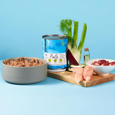 FAVLY Petfood-Setup: Eine Schüssel Pute mit Quinoa, Rote Beete und Fenchel mit einer Ölflasche auf blauem Hintergrund.